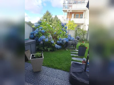 Förhandsbild 3
