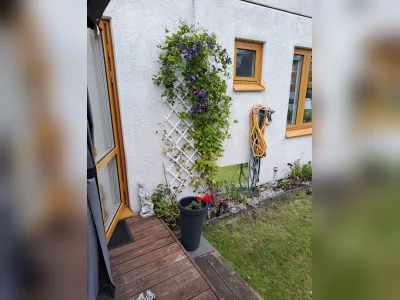 Förhandsbild 4
