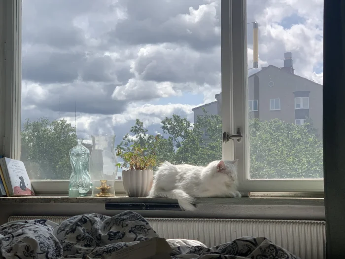 Förhandsbild 3