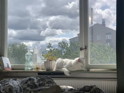 Förhandsbild 3
