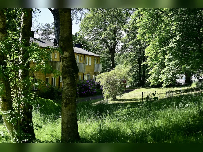 Förhandsbild 1