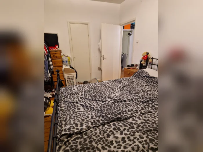 Förhandsbild 5