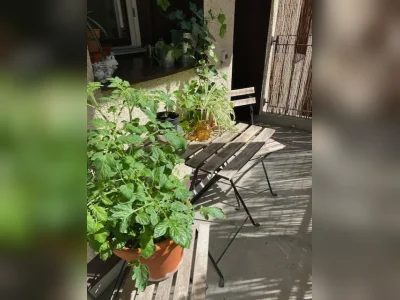 Förhandsbild 10