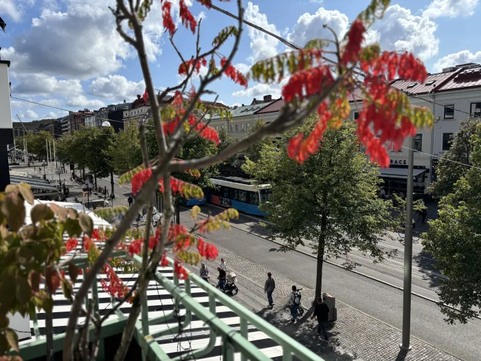 Förhandsbild 2