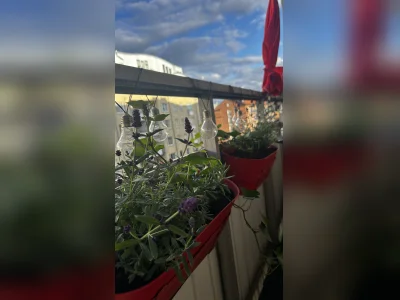 Förhandsbild 2