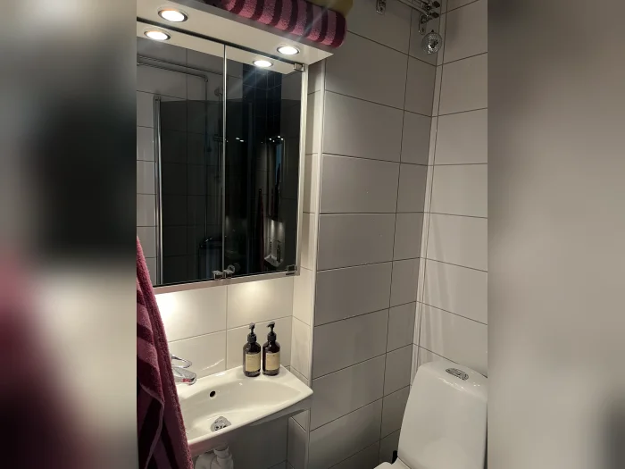 Förhandsbild 3