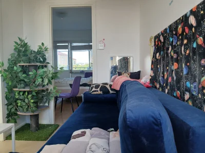 Förhandsbild 19