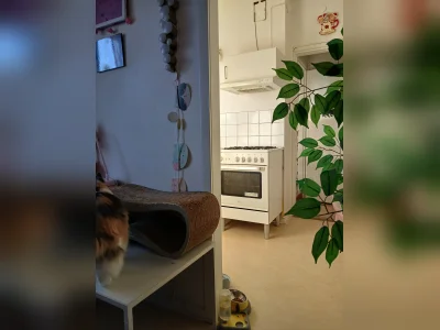 Förhandsbild 16